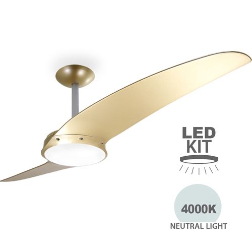 SPIRIT Neevo2 Gold 43 inches Ceiling Fan with LED Kit and Remote Control