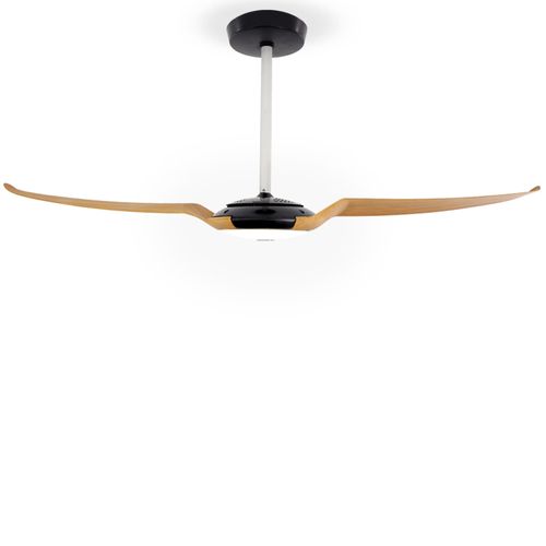 SPIRIT IC Air Black Mapple 47 inches Ceiling Fan with LED Kit and Remote Control