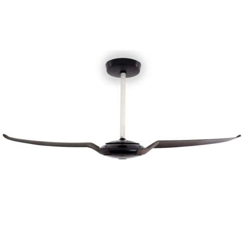 SPIRIT IC Air Black Tobacco Solo 47 inches Ceiling Fan with Remote Control