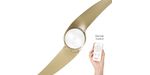 Neevo_2_gold_remote_control_2